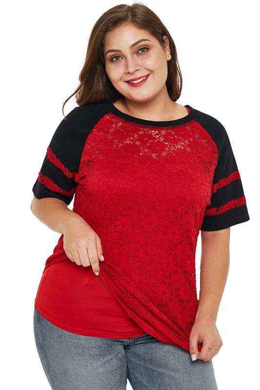 Red Lace Panel Raglan Sleeve Plus Size T-shirt